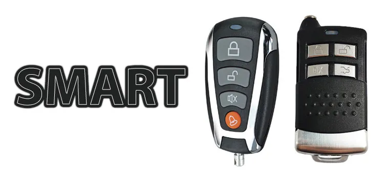 The best car article SMART