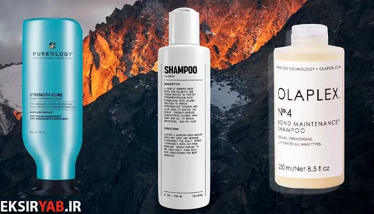 best shampoo for hair los 4
