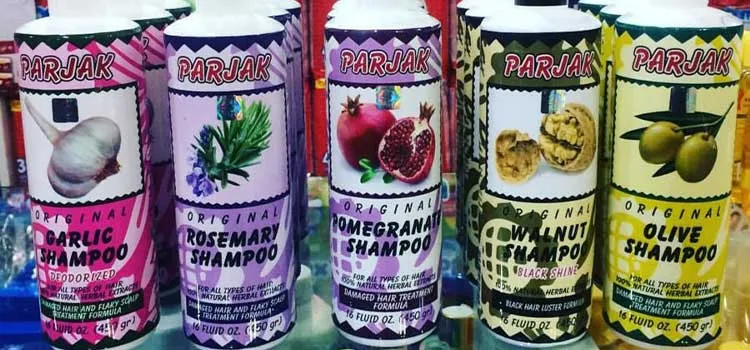best shampoo for hair los parzhak