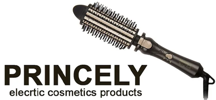 best brand of thermal hair straightener brush princely