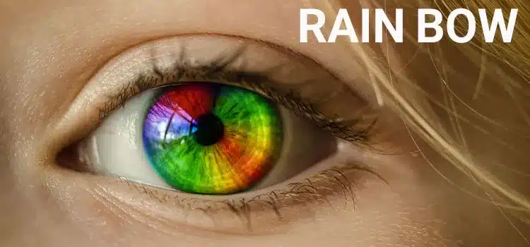 the best eye lens brand RAIN BOW