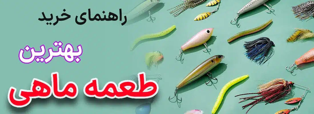 best bait for fishing article picture